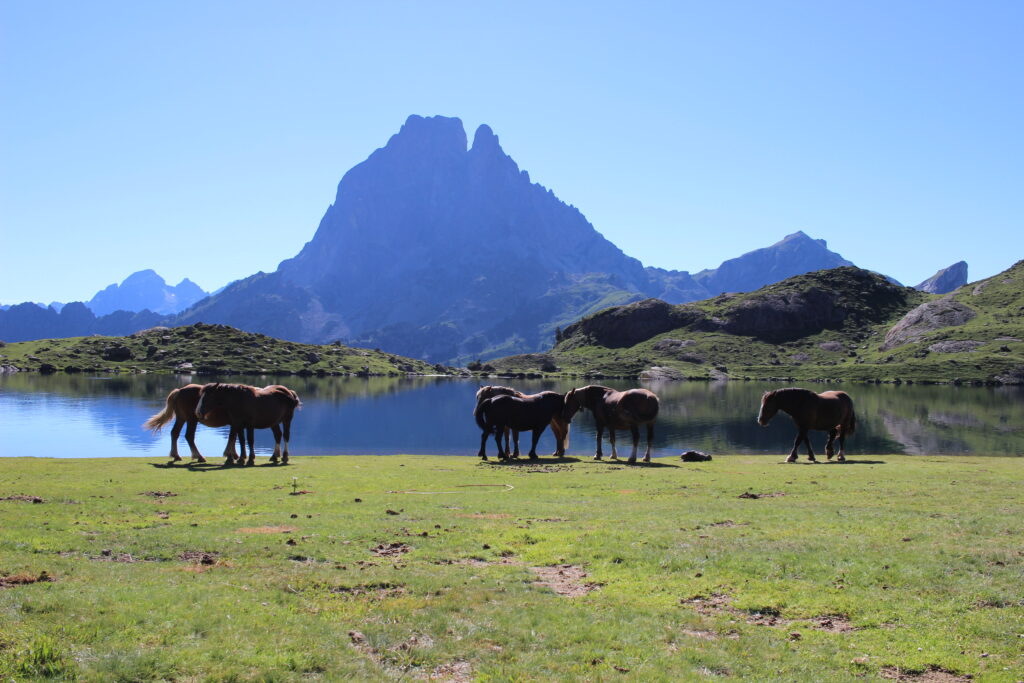 Pic d_Ossau et Lac Ayous chevaux ©Kindabreak.com